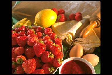 Category of Food Vocabulary Image 