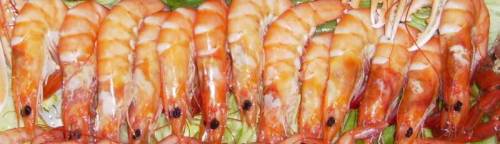 Category of Shellfish Vocabulary Image 