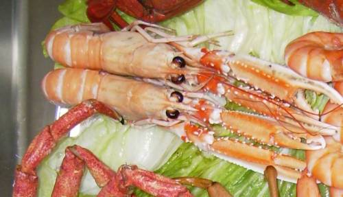 Category of Shellfish Vocabulary Image 