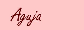 Aguja