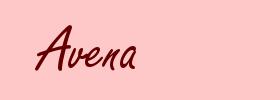 Avena