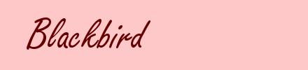 Blackbird