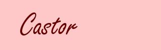 Castor
