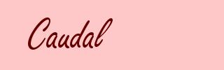 Caudal