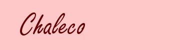Chaleco