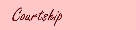 Courtship