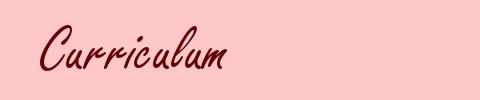 Curriculum
