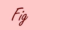 Fig