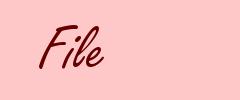 File
