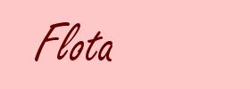 Flota