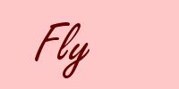 Fly