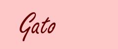 Gato