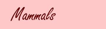 Mammals