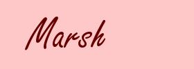 Marsh