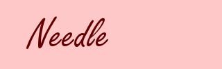 Needle