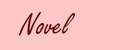 Novel