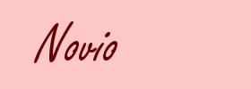 Novio