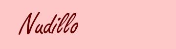 Nudillo