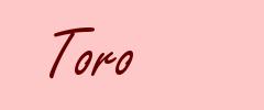 Toro