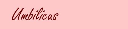 Umbilicus